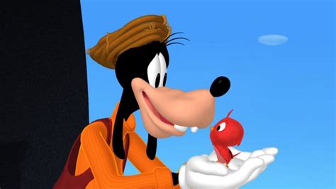 Watch the adventures of Mickey Mouse and friends!Welcome to the official Disney Channel Africa <b>YouTube</b> channel! Here you can find all the latest show clips,. . Goofys bird